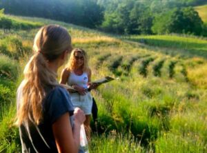 Nature And Forest Therapy - Association of Nature & Forest Therapy