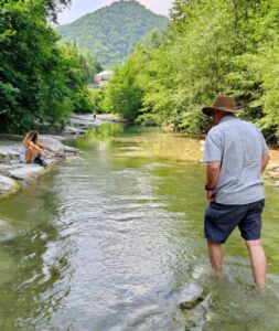 Nature And Forest Therapy - Association of Nature & Forest Therapy