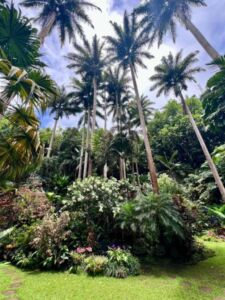 Nature And Forest Therapy - Association of Nature & Forest Therapy