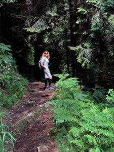 Nature And Forest Therapy - Association of Nature & Forest Therapy