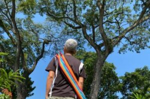 Nature And Forest Therapy - Association of Nature & Forest Therapy