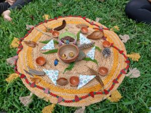 Nature And Forest Therapy - Association of Nature & Forest Therapy