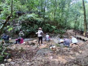 Nature And Forest Therapy - Association of Nature & Forest Therapy
