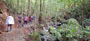 Nature And Forest Therapy - Association of Nature & Forest Therapy