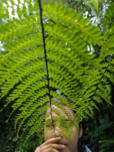 Nature And Forest Therapy - Association of Nature & Forest Therapy