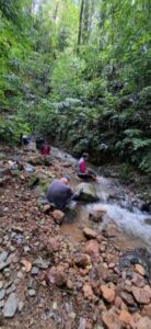 Nature And Forest Therapy - Association of Nature & Forest Therapy