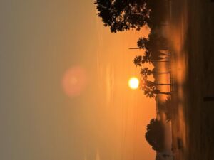 Nature And Forest Therapy - Association of Nature & Forest Therapy