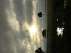 Nature And Forest Therapy - Association of Nature & Forest Therapy