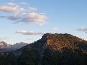 Nature And Forest Therapy - Association of Nature & Forest Therapy