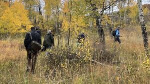 Nature And Forest Therapy - Association of Nature & Forest Therapy