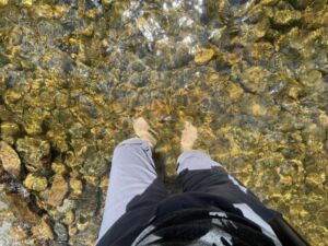 Nature And Forest Therapy - Association of Nature & Forest Therapy