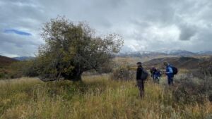 Nature And Forest Therapy - Association of Nature & Forest Therapy