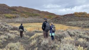 Nature And Forest Therapy - Association of Nature & Forest Therapy
