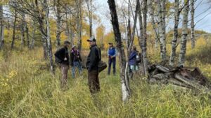Nature And Forest Therapy - Association of Nature & Forest Therapy