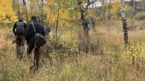Nature And Forest Therapy - Association of Nature & Forest Therapy