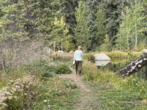 Nature And Forest Therapy - Association of Nature & Forest Therapy