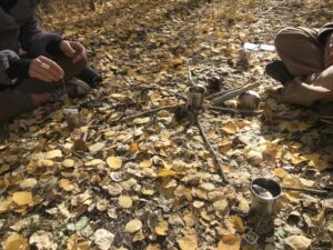 Nature And Forest Therapy - Association of Nature & Forest Therapy