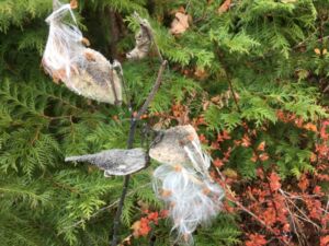 Nature And Forest Therapy - Association of Nature & Forest Therapy