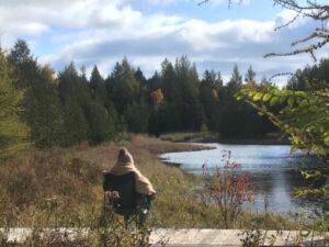 Nature And Forest Therapy - Association of Nature & Forest Therapy