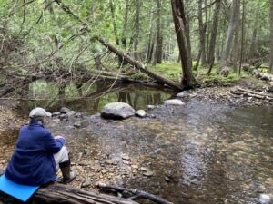 Nature And Forest Therapy - Association of Nature & Forest Therapy