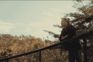 Nature And Forest Therapy - Association of Nature & Forest Therapy