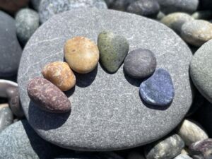 Nature And Forest Therapy - Association of Nature & Forest Therapy