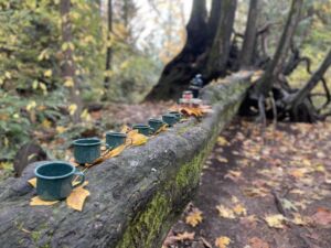 Nature And Forest Therapy - Association of Nature & Forest Therapy