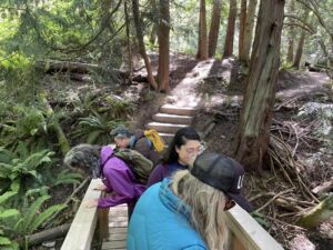 Nature And Forest Therapy - Association of Nature & Forest Therapy