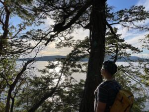 Nature And Forest Therapy - Association of Nature & Forest Therapy