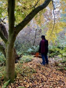 Nature And Forest Therapy - Association of Nature & Forest Therapy