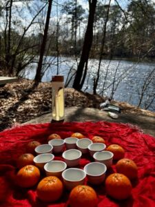 Nature And Forest Therapy - Association of Nature & Forest Therapy