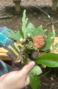 Nature And Forest Therapy - Association of Nature & Forest Therapy