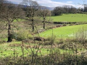 Nature And Forest Therapy - Association of Nature & Forest Therapy