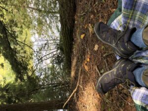 Nature And Forest Therapy - Association of Nature & Forest Therapy