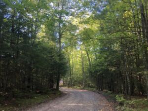 Nature And Forest Therapy - Association of Nature & Forest Therapy