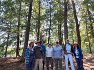 Nature And Forest Therapy - Association of Nature & Forest Therapy