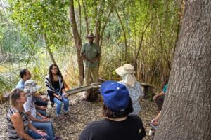 Nature And Forest Therapy - Association of Nature & Forest Therapy