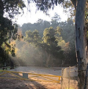 Nature And Forest Therapy - Association of Nature & Forest Therapy