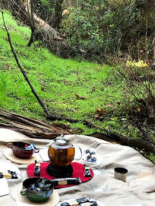 Nature And Forest Therapy - Association of Nature & Forest Therapy
