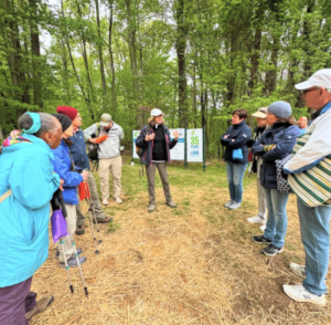 Nature And Forest Therapy - Association of Nature & Forest Therapy