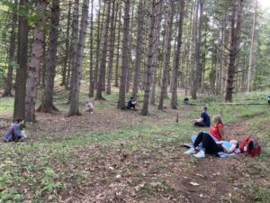 Nature And Forest Therapy - Association of Nature & Forest Therapy