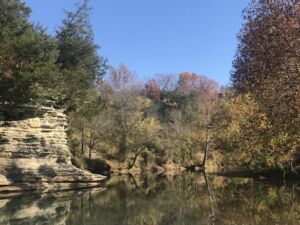 Nature And Forest Therapy - Association of Nature & Forest Therapy
