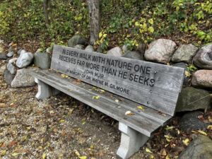 Nature And Forest Therapy - Association of Nature & Forest Therapy
