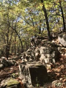 Nature And Forest Therapy - Association of Nature & Forest Therapy
