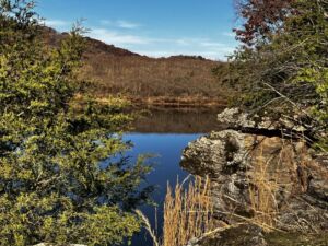 Nature And Forest Therapy - Association of Nature & Forest Therapy