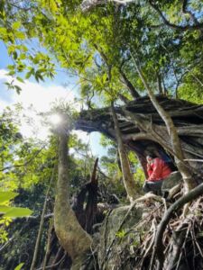 Nature And Forest Therapy - Association of Nature & Forest Therapy