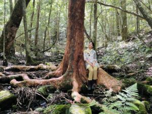 Nature And Forest Therapy - Association of Nature & Forest Therapy