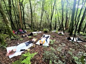 Nature And Forest Therapy - Association of Nature & Forest Therapy