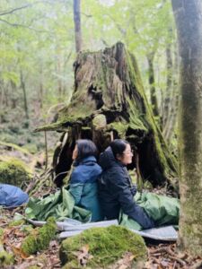 Nature And Forest Therapy - Association of Nature & Forest Therapy