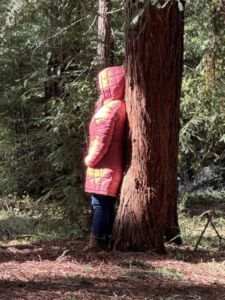 Nature And Forest Therapy - Association of Nature & Forest Therapy